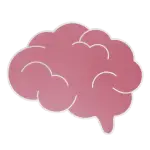 Brain